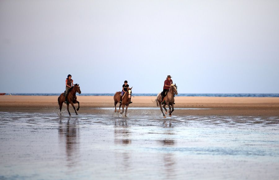 Escursione a cavallo in Sardegna 3