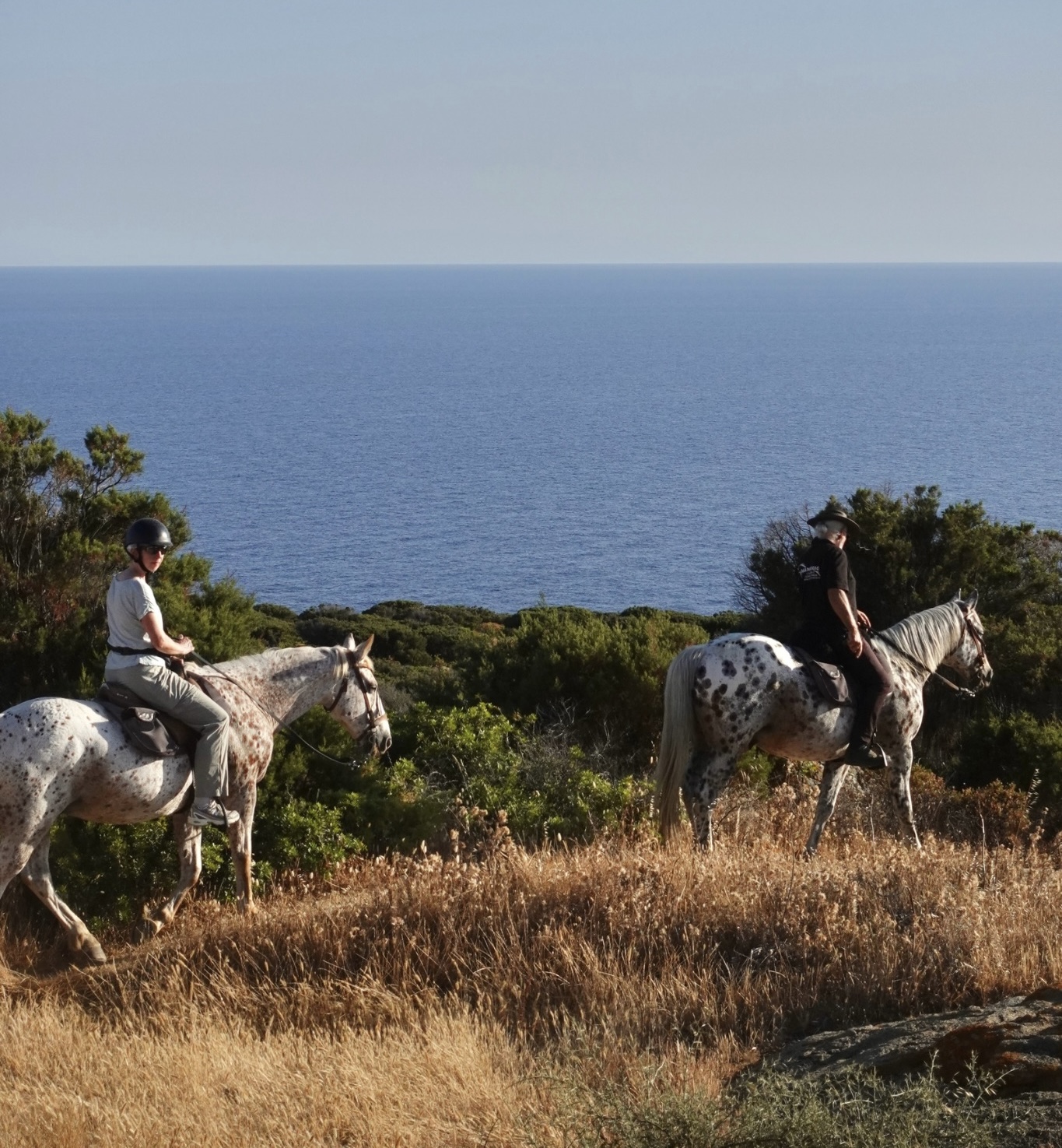 Escursione a cavallo in Sardegna 4