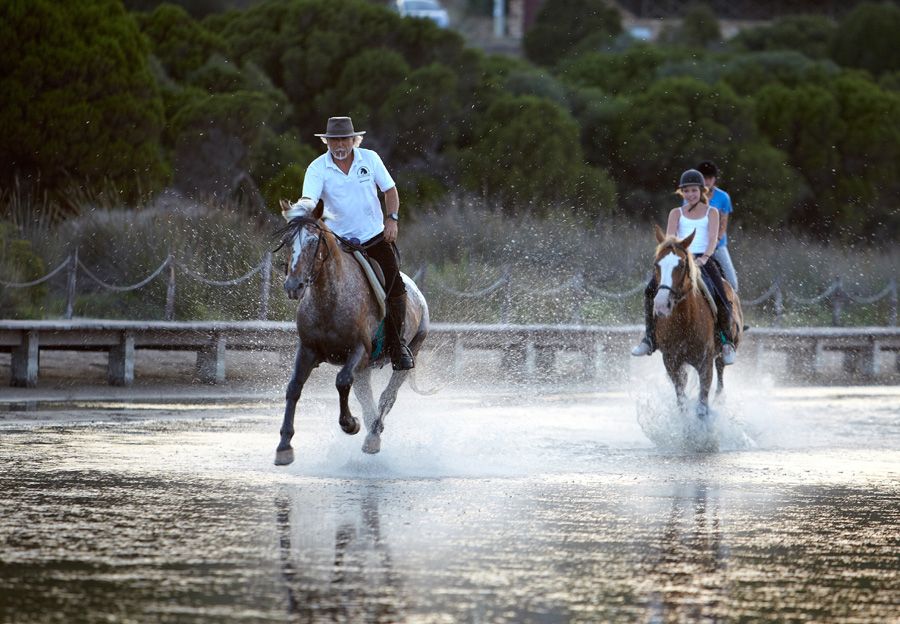 Escursione a cavallo in Sardegna 5