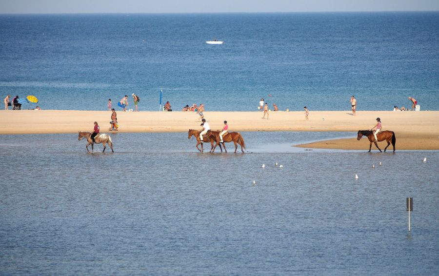 Escursione a cavallo in Sardegna 8